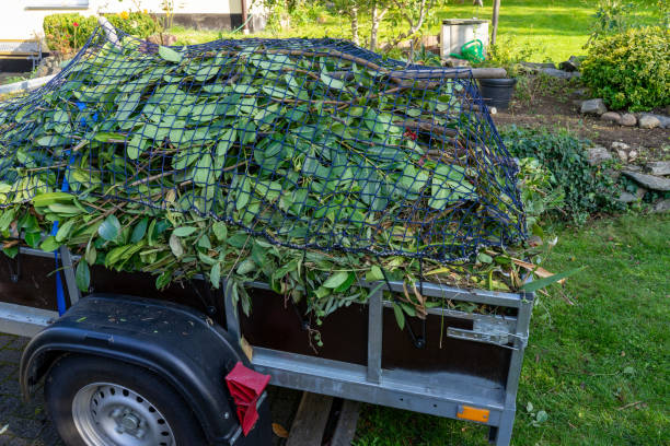 Best Estate Cleanout  in North Middletown, NJ